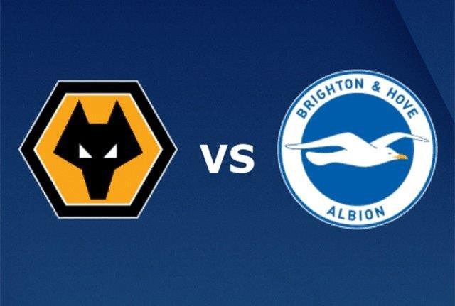 11BET Tip bóng đá Wolves vs Brighton  –  22h00 07/03/2020